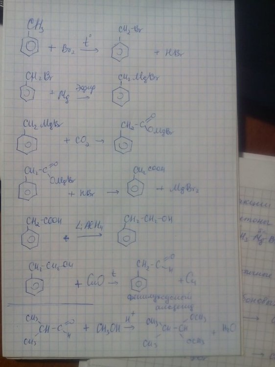 WhatsApp Image 2018-12-21 at 20.26.36.jpeg