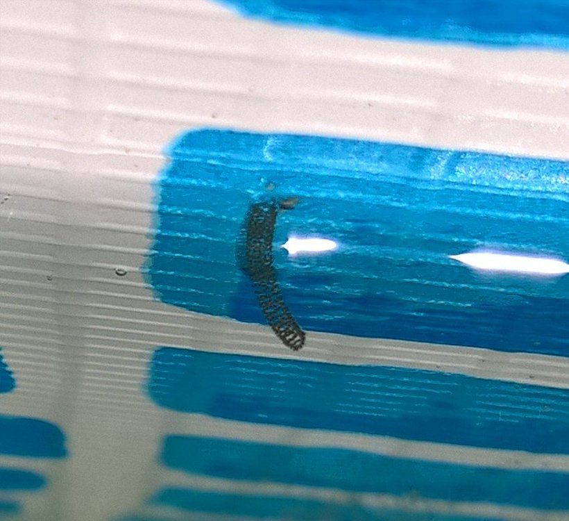 WP_20190627_08_25_24_Pro (2).jpg