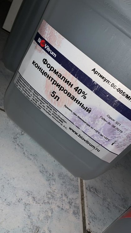 WhatsApp Image 2019-11-29 at 6.36.13 PM.jpeg