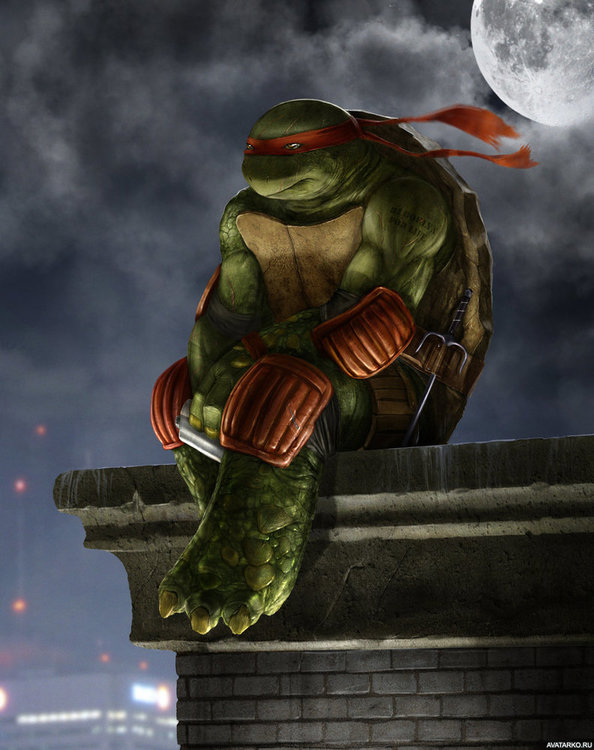 TMNT_Raphael_31306.jpg