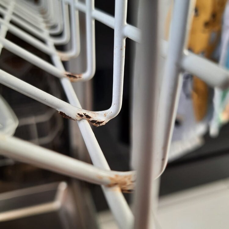 WhatsApp Image 2021-03-14 at 17.15.11.jpeg