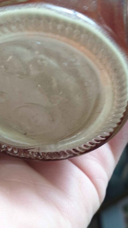 20220316_113352 (1)_11zon.jpg