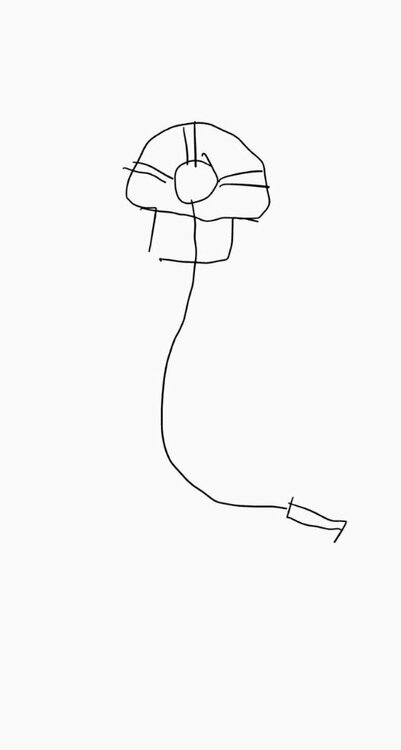 Устройство с каналом.jpg