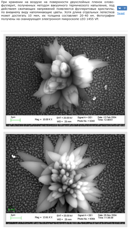 Screenshot 2023-02-17 at 09-24-27 Фуллеритовый цветок.png