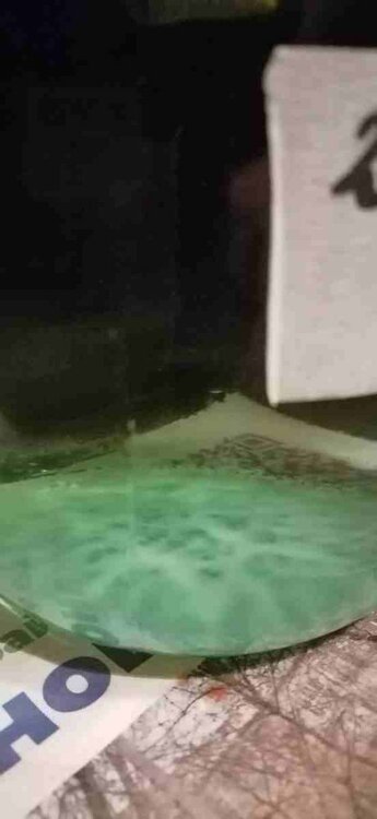 IMG_20230326_191850 (1) (1) (1).jpg