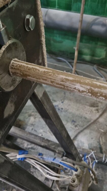 WhatsApp Image 2023-04-11 at 10.46.39.jpeg