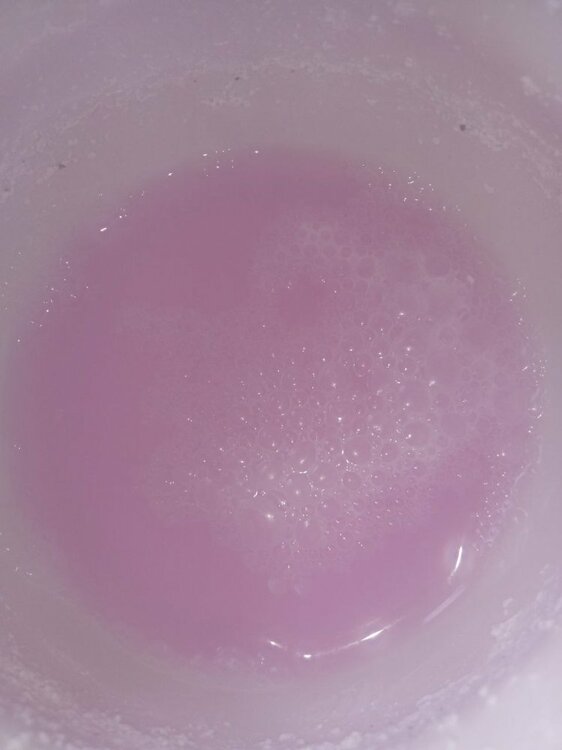 photo_5339448053729446332_y (1).jpeg