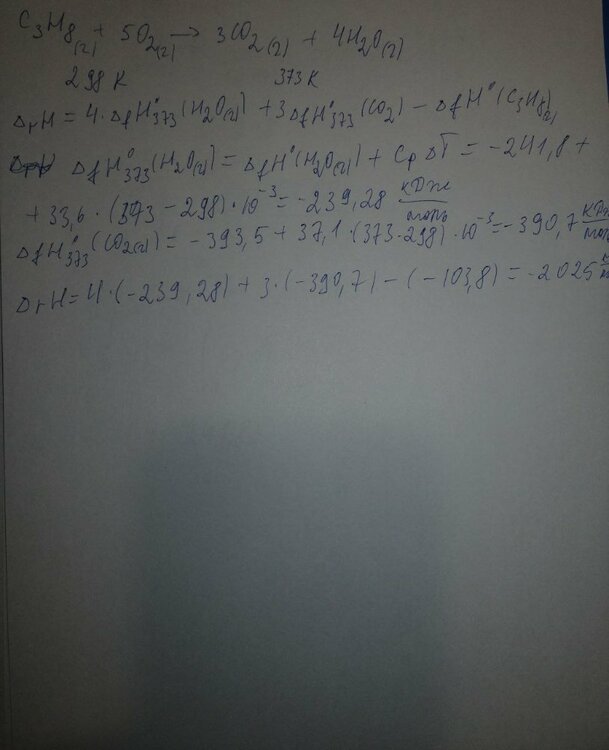 photo_5382350915840887804_y (1).jpg