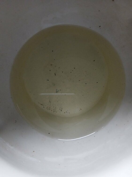 photo_5386315149180260216_y (1).jpg