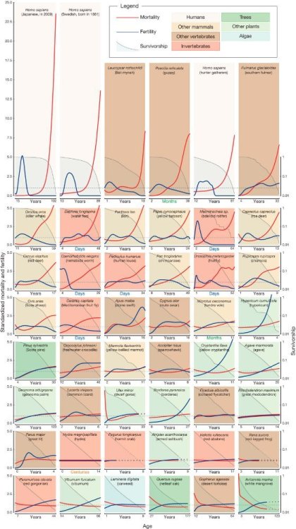 temporal_scaling_of_caenorhabditis_elegans_ageing_1_946.thumb.jpg.501ff7ebb9a4a319a640654e51202f01.jpg