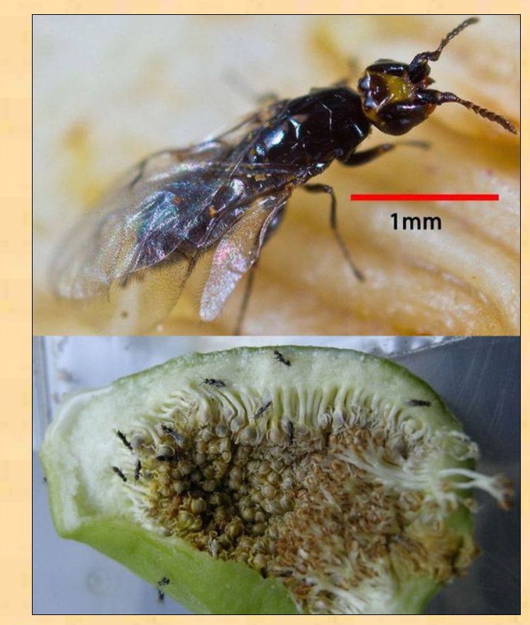 Screenshot 2024-09-20 164542.png