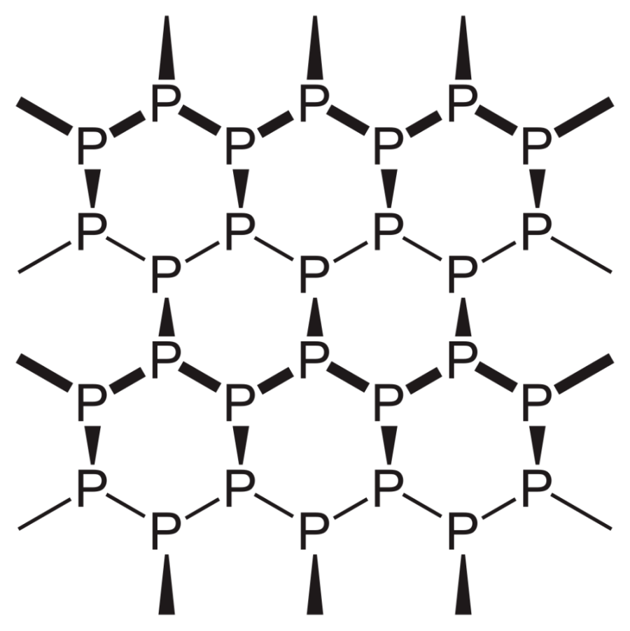 BlackPstructure.thumb.png.a2cc67a22d3aff35d05b7b25f8e48b48.png