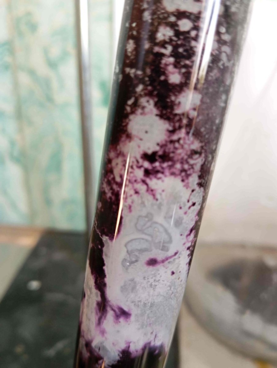 IMG_20241031_140057 (2).jpg