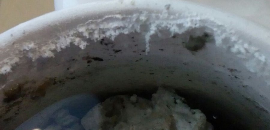 photo_5265067436435170837_y (1).jpg