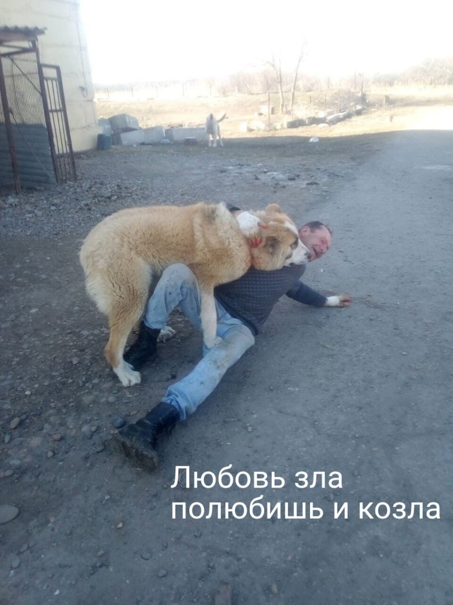 IMG_20250726_194530_774 (2).jpg