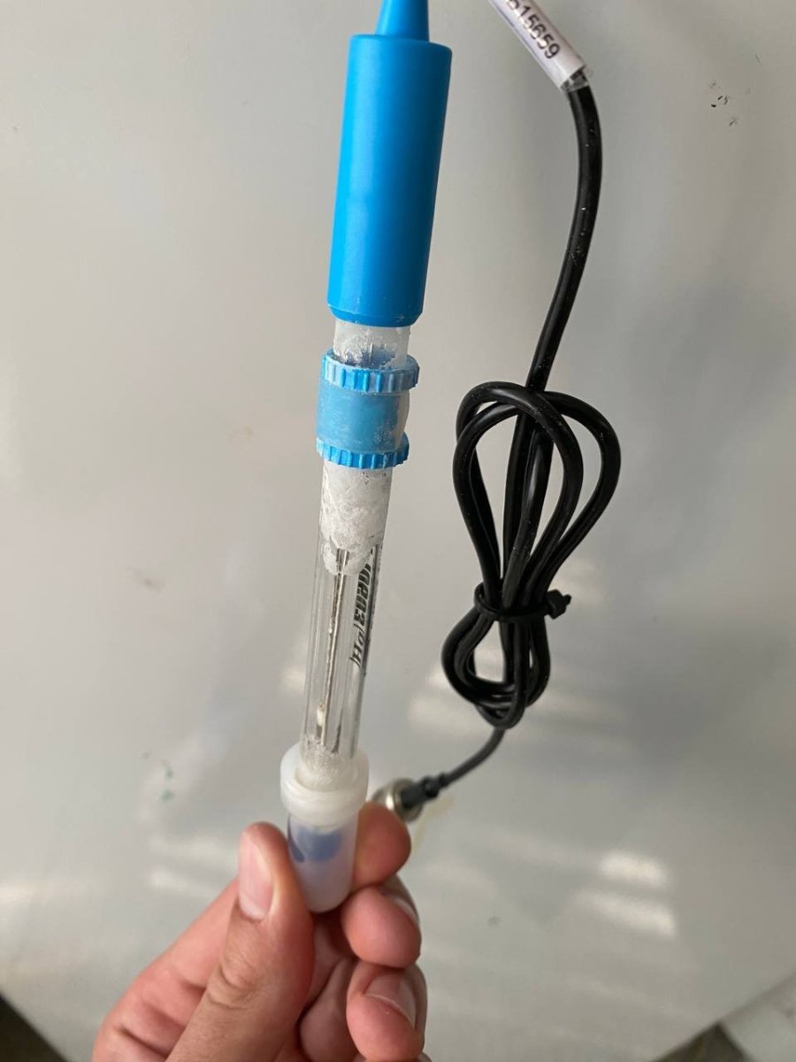 photo_5429123354507473750_y (1).jpg