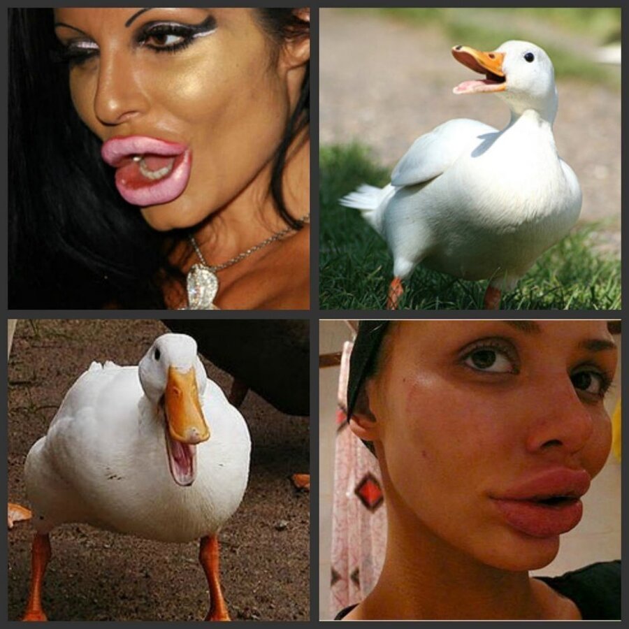 .thumb.jpg.727e119f65d70535000a6ef873d5e6e9.jpg