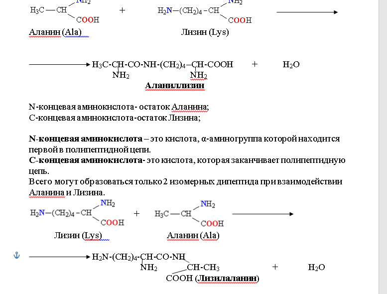 Концевые аминокислоты. Уравнение реакции образования дипептида (аланин аланин). Реакция образования глицин аланин.